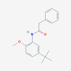 molecular formula C19H23NO2 B5105640 N-(5-tert-butyl-2-methoxyphenyl)-2-phenylacetamide 