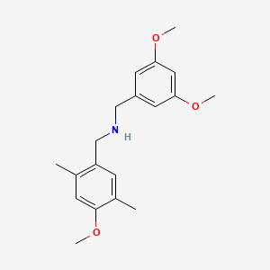 molecular formula C19H25NO3 B5105697 (3,5-dimethoxybenzyl)(4-methoxy-2,5-dimethylbenzyl)amine 