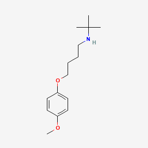 N-(tert-butyl)-4-(4-methoxyphenoxy)-1-butanamine