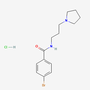 molecular formula C14H20BrClN2O B5108529 4-bromo-N-[3-(1-pyrrolidinyl)propyl]benzamide hydrochloride 