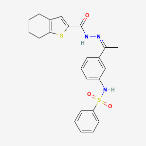 N-{3-[N-(4,5,6,7-tetrahydro-1-benzothien-2-ylcarbonyl)ethanehydrazonoyl]phenyl}benzenesulfonamide