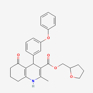 molecular formula C28H29NO5 B5118830 tetrahydro-2-furanylmethyl 2-methyl-5-oxo-4-(3-phenoxyphenyl)-1,4,5,6,7,8-hexahydro-3-quinolinecarboxylate 