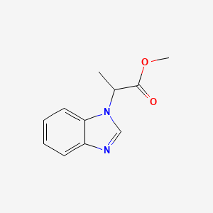 molecular formula C11H12N2O2 B5119145 methyl 2-(1H-benzimidazol-1-yl)propanoate 