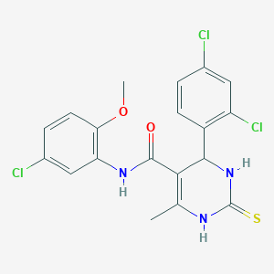 molecular formula C19H16Cl3N3O2S B5119148 N-(5-chloro-2-methoxyphenyl)-4-(2,4-dichlorophenyl)-6-methyl-2-thioxo-1,2,3,4-tetrahydro-5-pyrimidinecarboxamide 