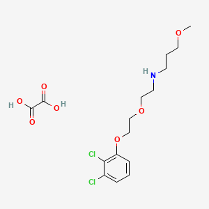 molecular formula C16H23Cl2NO7 B5119870 N-{2-[2-(2,3-dichlorophenoxy)ethoxy]ethyl}-3-methoxy-1-propanamine oxalate 