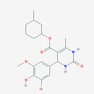 molecular formula C20H25BrN2O5 B5120163 3-methylcyclohexyl 4-(3-bromo-4-hydroxy-5-methoxyphenyl)-6-methyl-2-oxo-1,2,3,4-tetrahydro-5-pyrimidinecarboxylate 