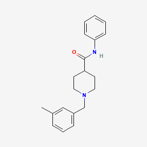molecular formula C20H24N2O B5122180 1-(3-methylbenzyl)-N-phenyl-4-piperidinecarboxamide 