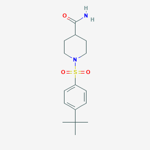 molecular formula C16H24N2O3S B512322 1-[(4-Tert-butylphenyl)sulfonyl]piperidine-4-carboxamide CAS No. 381185-18-8