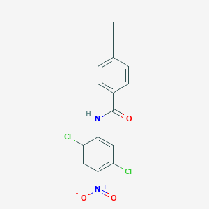 molecular formula C17H16Cl2N2O3 B5125407 4-tert-butyl-N-(2,5-dichloro-4-nitrophenyl)benzamide 