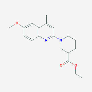 molecular formula C19H24N2O3 B5126766 ethyl 1-(6-methoxy-4-methyl-2-quinolinyl)-3-piperidinecarboxylate 