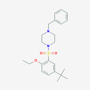 molecular formula C23H32N2O3S B512901 1-Benzyl-4-(5-tert-butyl-2-ethoxyphenyl)sulfonylpiperazine CAS No. 717895-45-9