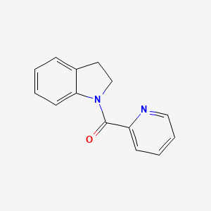 molecular formula C14H12N2O B5129194 1-(2-pyridinylcarbonyl)indoline 