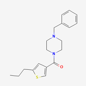 molecular formula C19H24N2OS B5130095 1-benzyl-4-[(5-propyl-3-thienyl)carbonyl]piperazine 