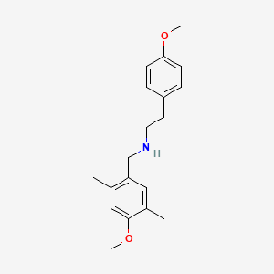 molecular formula C19H25NO2 B5132018 (4-methoxy-2,5-dimethylbenzyl)[2-(4-methoxyphenyl)ethyl]amine 