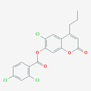 molecular formula C19H13Cl3O4 B5133679 6-chloro-2-oxo-4-propyl-2H-chromen-7-yl 2,4-dichlorobenzoate 