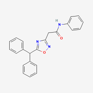 molecular formula C23H19N3O2 B5133701 2-[5-(diphenylmethyl)-1,2,4-oxadiazol-3-yl]-N-phenylacetamide 