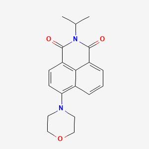 molecular formula C19H20N2O3 B5135801 2-isopropyl-6-(4-morpholinyl)-1H-benzo[de]isoquinoline-1,3(2H)-dione 