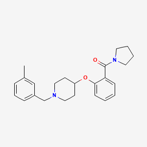 1-(3-methylbenzyl)-4-[2-(1-pyrrolidinylcarbonyl)phenoxy]piperidine
