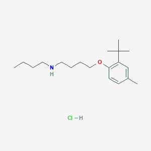 N-butyl-4-(2-tert-butyl-4-methylphenoxy)-1-butanamine hydrochloride