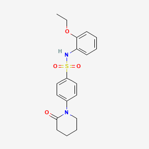 molecular formula C19H22N2O4S B5137022 N-(2-ethoxyphenyl)-4-(2-oxo-1-piperidinyl)benzenesulfonamide 