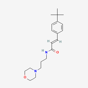 molecular formula C20H30N2O2 B5138441 3-(4-tert-butylphenyl)-N-[3-(4-morpholinyl)propyl]acrylamide 