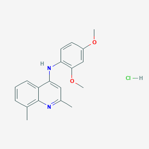molecular formula C19H21ClN2O2 B5138677 N-(2,4-dimethoxyphenyl)-2,8-dimethyl-4-quinolinamine hydrochloride 