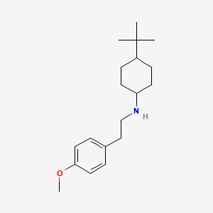 molecular formula C19H31NO B5139753 (4-tert-butylcyclohexyl)[2-(4-methoxyphenyl)ethyl]amine 