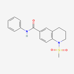 1-(methylsulfonyl)-N-phenyl-1,2,3,4-tetrahydro-6-quinolinecarboxamide