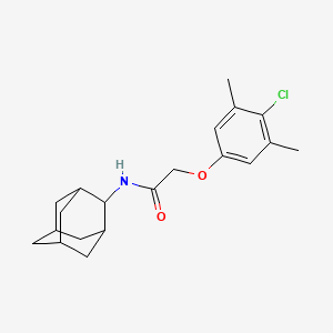 molecular formula C20H26ClNO2 B5141853 N-2-adamantyl-2-(4-chloro-3,5-dimethylphenoxy)acetamide 