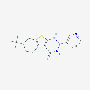 molecular formula C19H23N3OS B514272 7-Tert-butyl-2-(3-pyridinyl)-1,2,5,6,7,8-hexahydro[1]benzothieno[2,3-d]pyrimidin-4-ol CAS No. 896074-41-2