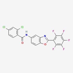 2,4-dichloro-N-[2-(pentafluorophenyl)-1,3-benzoxazol-5-yl]benzamide