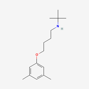 N-(tert-butyl)-4-(3,5-dimethylphenoxy)-1-butanamine