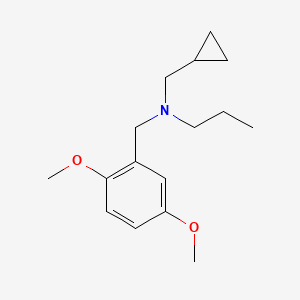 molecular formula C16H25NO2 B5144716 (cyclopropylmethyl)(2,5-dimethoxybenzyl)propylamine CAS No. 415931-09-8