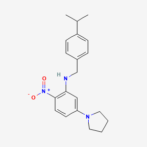 molecular formula C20H25N3O2 B5144841 (4-isopropylbenzyl)[2-nitro-5-(1-pyrrolidinyl)phenyl]amine 