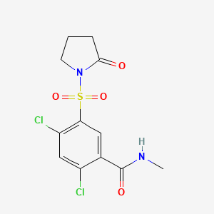 2,4-dichloro-N-methyl-5-[(2-oxo-1-pyrrolidinyl)sulfonyl]benzamide