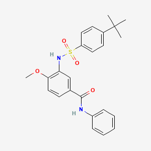 molecular formula C24H26N2O4S B5147916 3-{[(4-tert-butylphenyl)sulfonyl]amino}-4-methoxy-N-phenylbenzamide 