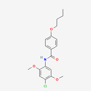 molecular formula C19H22ClNO4 B5149846 4-butoxy-N-(4-chloro-2,5-dimethoxyphenyl)benzamide 