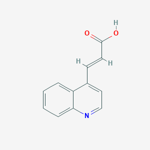 molecular formula C12H9NO2 B515091 3-(喹啉-4-基)丙-2-烯酸 CAS No. 13026-20-5