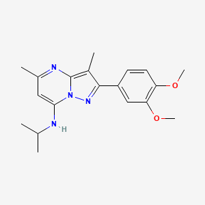 molecular formula C19H24N4O2 B5151741 2-(3,4-dimethoxyphenyl)-N-isopropyl-3,5-dimethylpyrazolo[1,5-a]pyrimidin-7-amine 