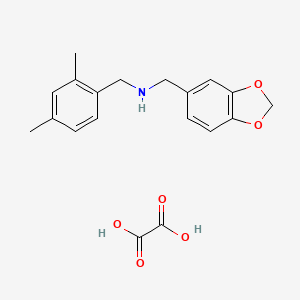 molecular formula C19H21NO6 B5152326 (1,3-benzodioxol-5-ylmethyl)(2,4-dimethylbenzyl)amine oxalate 
