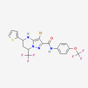 molecular formula C19H13BrF6N4O2S B5152911 3-bromo-5-(2-thienyl)-N-[4-(trifluoromethoxy)phenyl]-7-(trifluoromethyl)-4,5,6,7-tetrahydropyrazolo[1,5-a]pyrimidine-2-carboxamide 