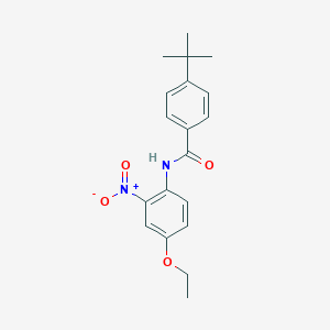 molecular formula C19H22N2O4 B5153877 4-tert-butyl-N-(4-ethoxy-2-nitrophenyl)benzamide 