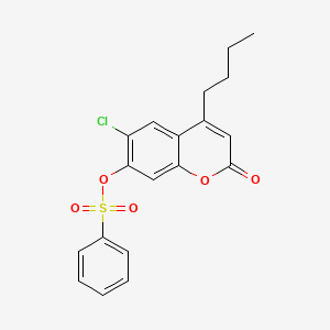 molecular formula C19H17ClO5S B5154195 4-butyl-6-chloro-2-oxo-2H-chromen-7-yl benzenesulfonate 