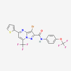 molecular formula C19H9BrF6N4O2S B5154799 3-bromo-5-(2-thienyl)-N-[4-(trifluoromethoxy)phenyl]-7-(trifluoromethyl)pyrazolo[1,5-a]pyrimidine-2-carboxamide 
