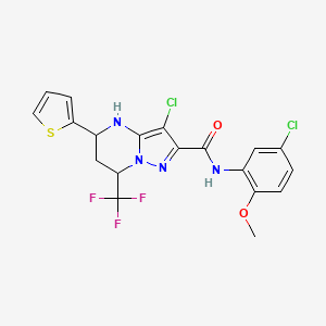 molecular formula C19H15Cl2F3N4O2S B5155508 3-chloro-N-(5-chloro-2-methoxyphenyl)-5-(2-thienyl)-7-(trifluoromethyl)-4,5,6,7-tetrahydropyrazolo[1,5-a]pyrimidine-2-carboxamide 