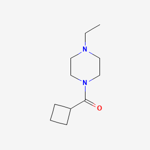 molecular formula C11H20N2O B5156087 1-(cyclobutylcarbonyl)-4-ethylpiperazine 