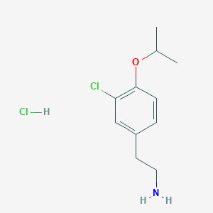 molecular formula C11H17Cl2NO B5158193 [2-(3-chloro-4-isopropoxyphenyl)ethyl]amine hydrochloride 