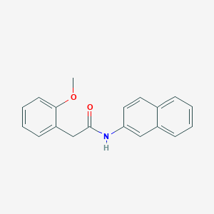 molecular formula C19H17NO2 B5159430 2-(2-methoxyphenyl)-N-2-naphthylacetamide CAS No. 434305-76-7