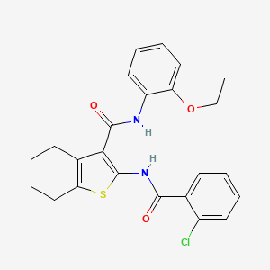 2-[(2-chlorobenzoyl)amino]-N-(2-ethoxyphenyl)-4,5,6,7-tetrahydro-1-benzothiophene-3-carboxamide