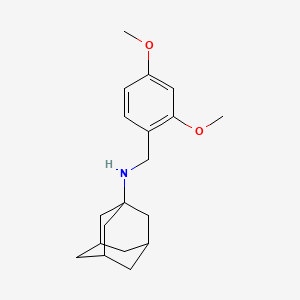 molecular formula C19H27NO2 B5167560 1-adamantyl(2,4-dimethoxybenzyl)amine 